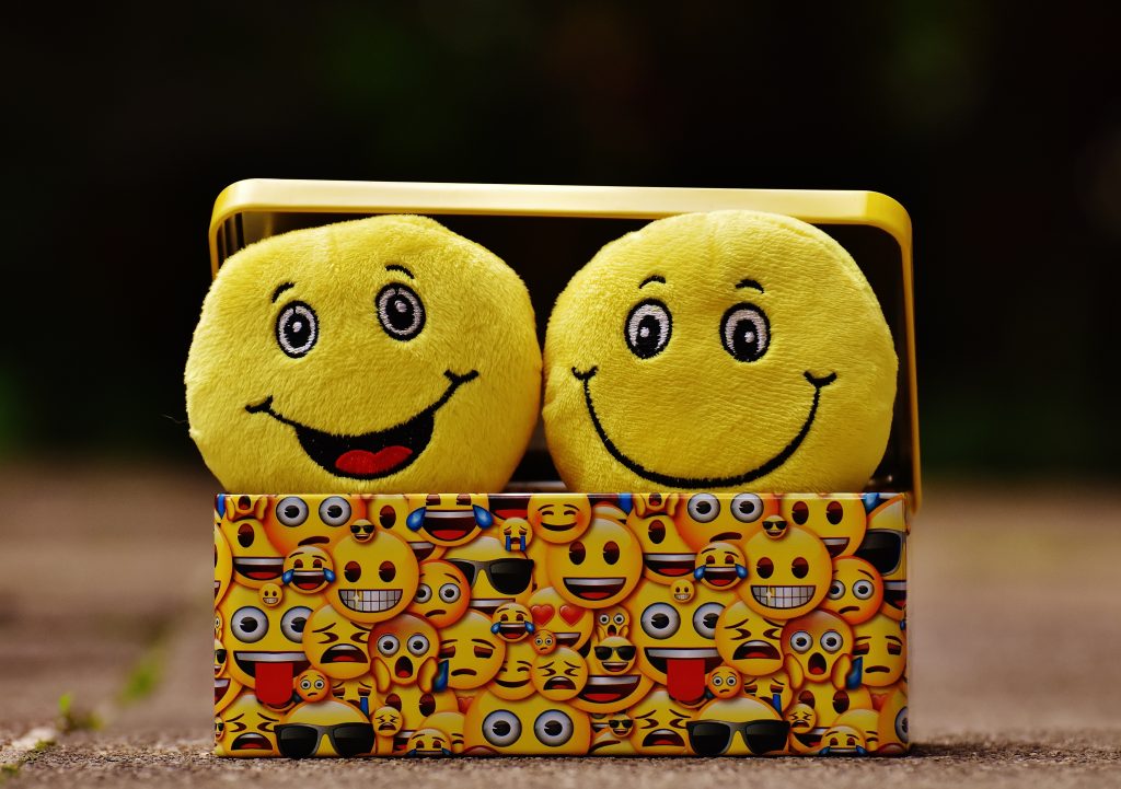 Two Happy Faces in a happy face box - Happy Living